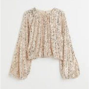 H&M champagne sequin top ~ size L